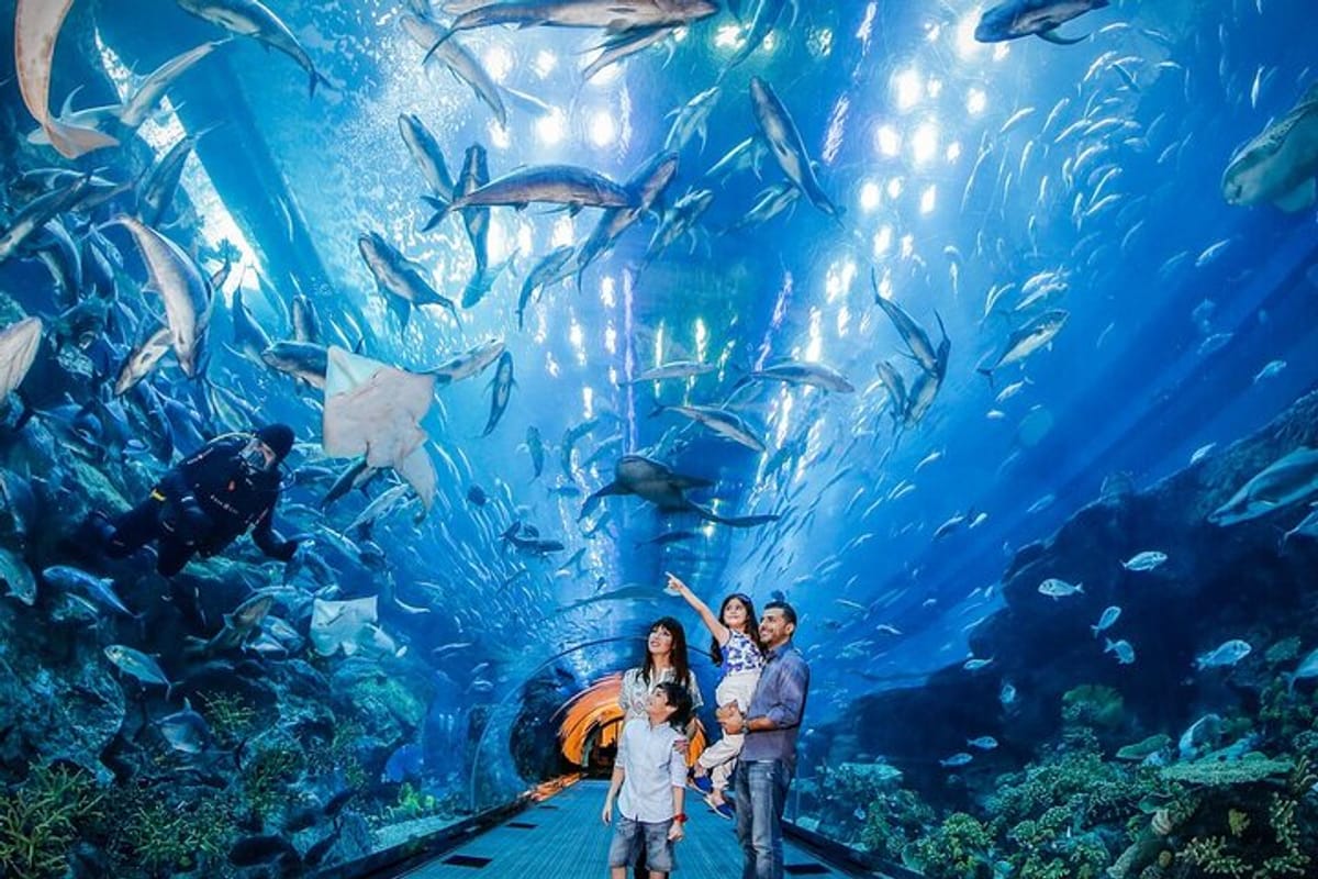 dubai-aquarium-underwater-zoo-sharing_1